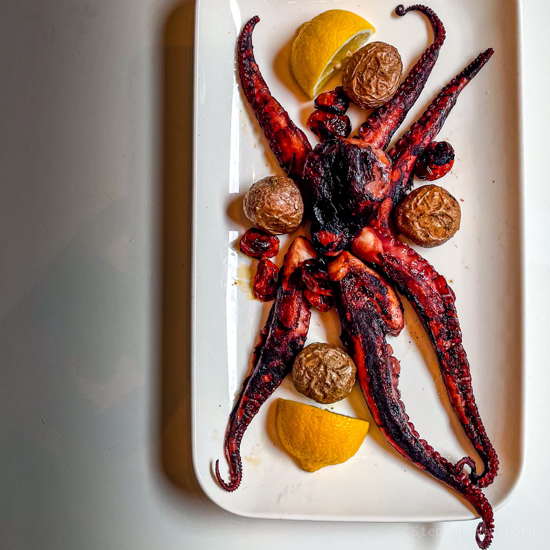 Octopus Dish